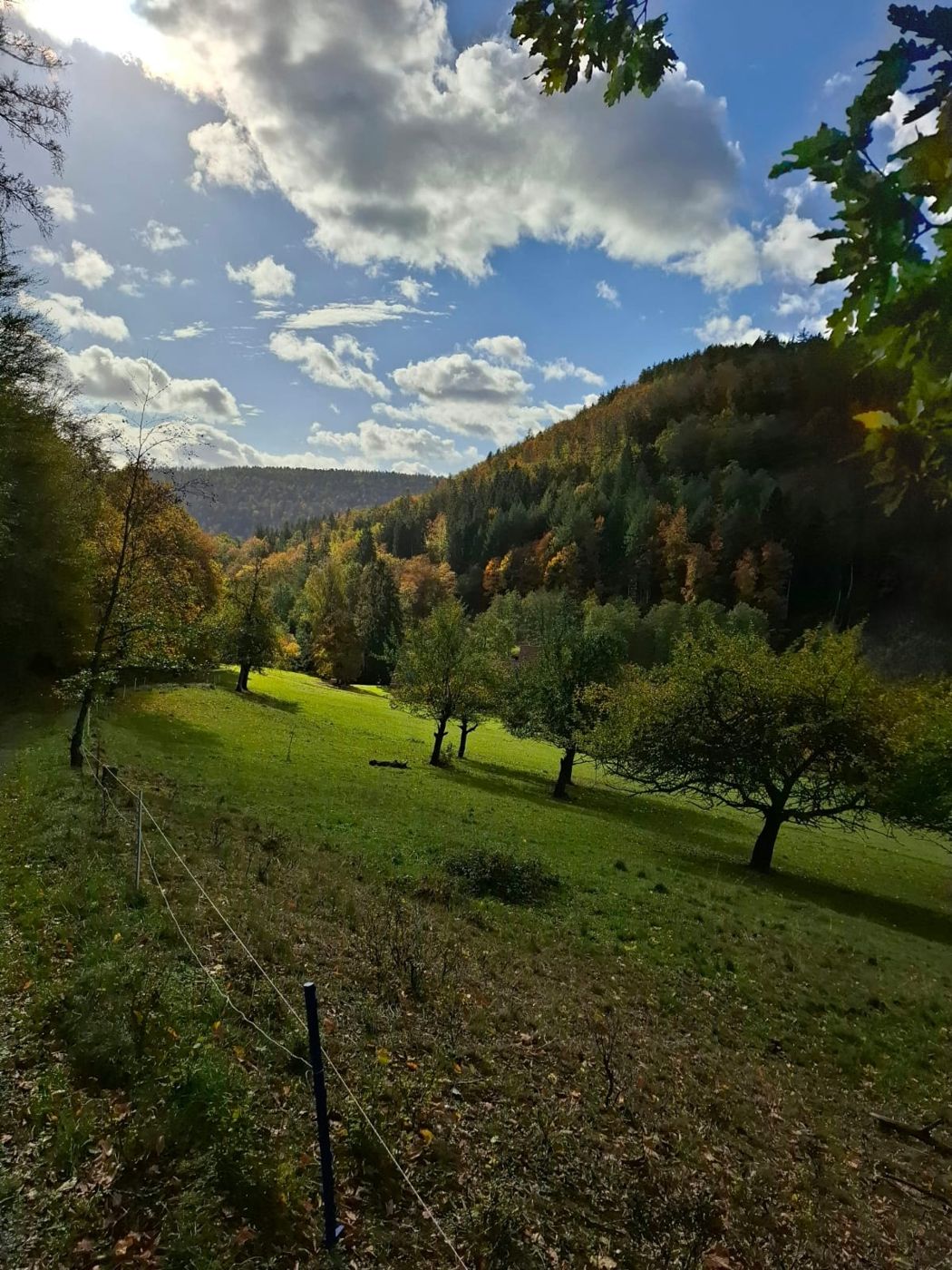 Herbstliches Tal im Spessart mit Streuobstwiese